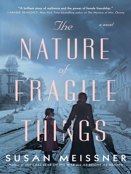 Title details for The Nature of Fragile Things by Susan Meissner - Wait list